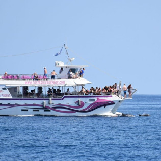 Avistamiento de Delfines y Vistas a la Costa del Sol (Benalmádena, Málaga)