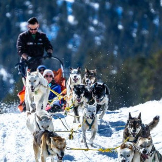 OFERTA Mushing: 2 Km en Paseo en Trineo tirado por Perros y Seguro (Andorra)