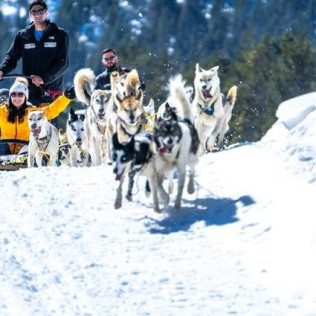 OFERTA Mushing: 2 Km en Paseo en Trineo tirado por Perros y Seguro (Andorra)