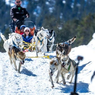 OFERTA Mushing: 2 Km en Paseo en Trineo tirado por Perros y Seguro (Andorra)
