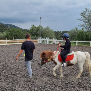 Paseo en Poni con Opción a Contacto para Niños en el Montseny (Barcelona)