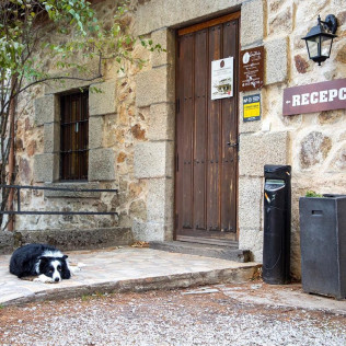 Escapada de 2 Noches con Desayuno en Posada Peña Pintada (Cercedilla, Madrid)