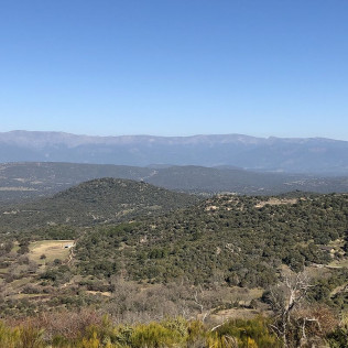 Escapada con Desayuno en La Posada de Bayuela y Visita guiada a Bodegas Canopy con Cata de Vinos y Aperitivo para dos (Toledo)