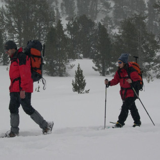 Ruta con Raquetas de Nieve por el Bosc del Gerdar (Lleida)