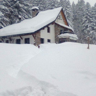 Ruta con Raquetas de Nieve por el Bosc del Gerdar (Lleida)