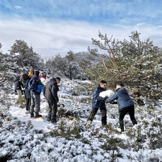 Ruta con Raquetas de Nieve, Construcción de Iglús y Trineo en Sierra Nevada (Granada)