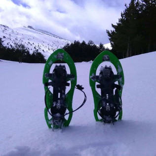 Ruta en Raquetas de Nieve en Navacerrada (Madrid)