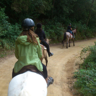 Ruta a Caballo por el Montseny (Barcelona)