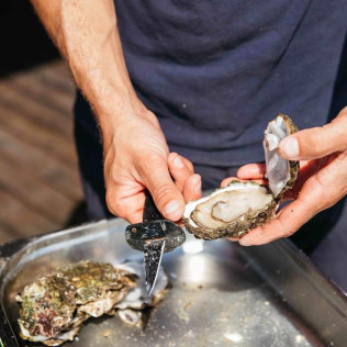 Salida en Barco y Baño en Bahía del Fangar con Opción de Degustación de Ostras y Mejillones (Ampolla, Tarragona)