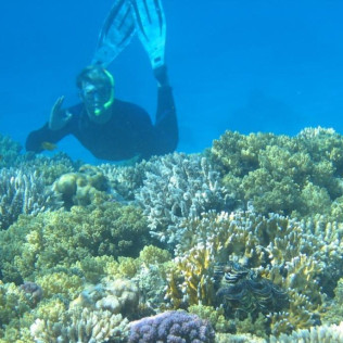 Snorkel para dos (Fuengirola, Málaga)