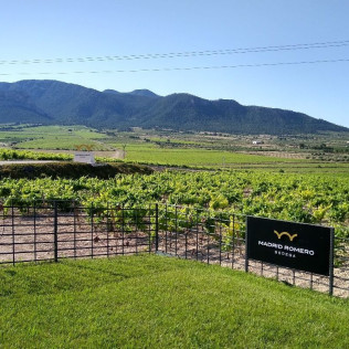 Visita a Bodega Madrid Romero con Cata de 5 Vinos, Aperitivo Gourmet y Circuito Spa para dos en Hotel Lodomar Spa & Talasoterapia 4* (Murcia)