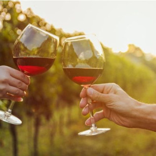 Circuito Spa y Cena en Hotel Real Ciudad de Zaragoza 4* y Visita a Bodega Grandes Vinos con Cata para dos (Zaragoza)