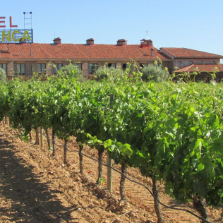 Circuito Spa y Comida o Cena para dos en Hotel Spa Tudanca Aranda 4* (Aranda de Duero, Burgos)