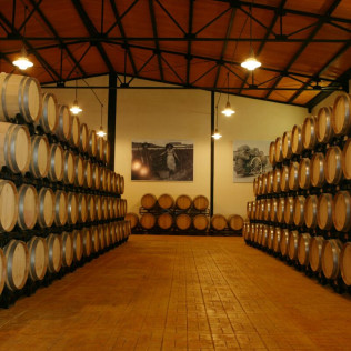 Circuito Spa con Comida en Balneario de Archena y Visita a Museo del Vino en Bodegas con Cata y Tapas para dos (Murcia)