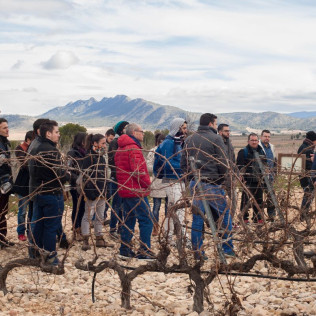 Circuito Spa con Comida en Balneario de Archena y Visita a Museo del Vino en Bodegas con Cata y Tapas para dos (Murcia)