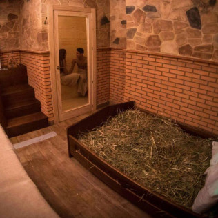 Circuito Spa Privado en Beer Spa y Masaje para dos (Alicante) 