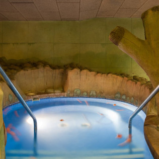 Circuito Spa en Senzia Granada Spa & Wellness - Senator Granada Spa Hotel 4* (Granada)