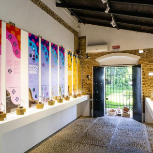 Circuito Spa en Hotel Catalonia Santa Justa 4* y Visita Guiada Premium a Puerto de Indias con Degustación para dos (Sevilla)