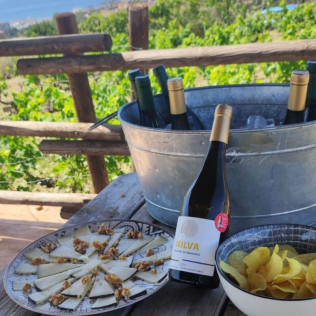 Circuito Spa en Exe Estepona Thalasso Spa 4* con Visita a Bodega Nilva y Cata de Vinos y Tapas para dos (Málaga)