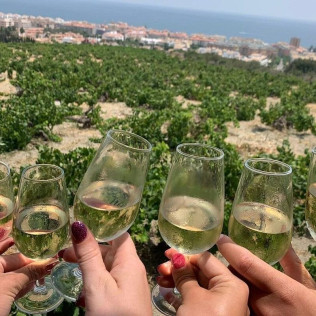 Circuito Spa en Exe Estepona Thalasso Spa 4* con Visita a Bodega Nilva y Cata de Vinos y Tapas para dos (Málaga)