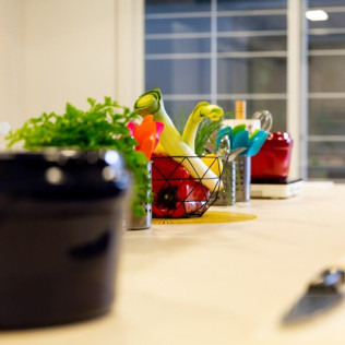 Taller de Arroces (Madrid)