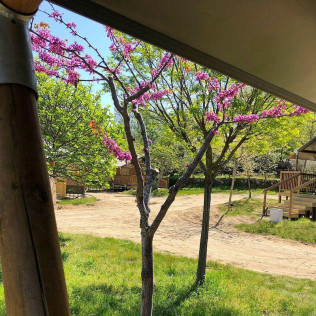 Escapada Glamping en una Eco-Tent de Veragua (Villanueva de la Vera, Cáceres)