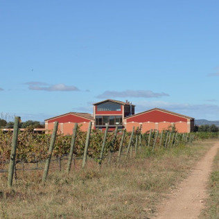 Visita a Bodegas Idrias y Viñedos con Cata de 3 Vinos y Maridaje de Productos Km 0 para dos (Lascellas, Huesca)
