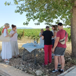 Visita a Bodegas Idrias y Viñedos con Cata de 3 Vinos y Maridaje de Productos Km 0 para dos (Lascellas, Huesca)