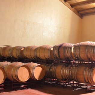 Visita a Bodegas Idrias y Viñedos con Cata de 3 Vinos y Maridaje de Productos Km 0 para dos (Lascellas, Huesca)