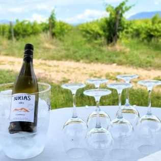 Visita a Bodegas Idrias y Viñedos con Cata de 3 Vinos y Maridaje de Productos Km 0 para dos (Lascellas, Huesca)