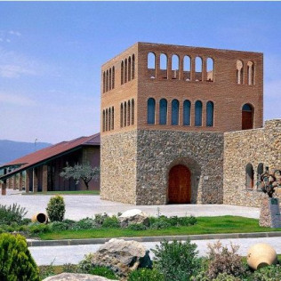 Visita a Bodega Grandes Vinos con Cata y Circuito Spa para dos en Hotel Real Ciudad de Zaragoza 4* (Zaragoza)