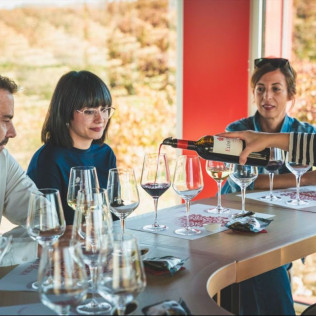 Visita a Bodegas Elías Mora con Cata de Vinos y Degustación para dos (San Román de Hornija, Valladolid)