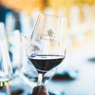 Visita a Bodegas Elías Mora con Cata de Vinos y Degustación para dos (San Román de Hornija, Valladolid)