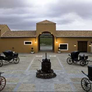 Visita a Bodega, Cata de Vino y Paseo en Coche de Caballos para dos (Albacete)