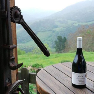 Visita a la Bodega Picos de Cabariezo con Cata de Vinos y Licores para dos (Cantabria)