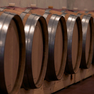 Visita Guiada por Bodega Artística, con Cata de Vinos y Aceite para dos (Lleida)