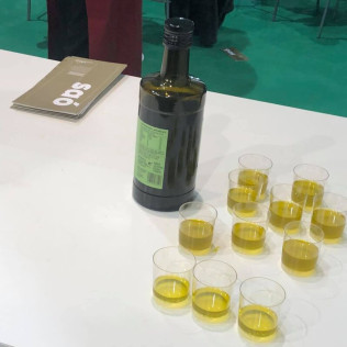 Visita Guiada por Bodega Artística, con Cata de Vinos y Aceite para dos (Lleida)