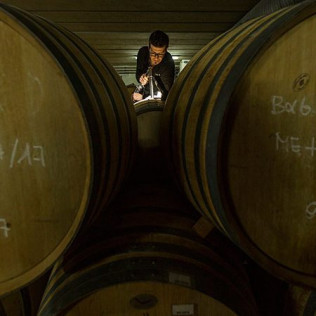 Cata de Vino para dos en BUIL & GINÉ (Tarragona)