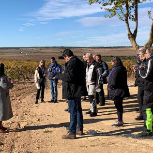 Visita a Bodega Mont Reaga con Cata de Vinos y Aperitivo para dos (Monreal del Llano, Cuenca)