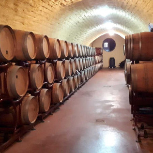 Visita a Bodega Pago de Almaraes con Degustación de Vinos y Embutidos de la zona para dos (Benalúa, Granada)