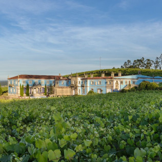 Visita a Bodega Granbazán y Cata de Vinos para dos (Pontevedra)