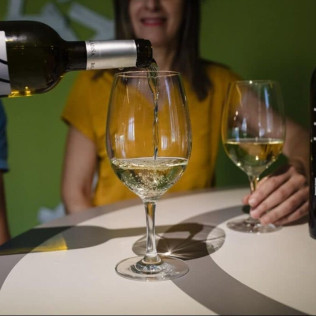 Visita a Bodega Lagar de Besada y Degustación de Vinos para dos (Pontevedra)