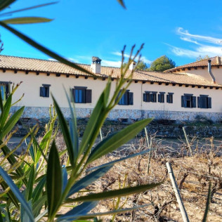 Ruta del Vino: Visita a Bodega Mainetes, Cata de Vino y Tapas para dos (Fuente Álamo, Albacete)