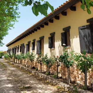 Ruta del Vino: Visita a Bodega Mainetes, Cata de Vino y Tapas para dos (Fuente Álamo, Albacete)
