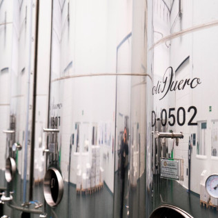 Visita a Bodega Emina Rueda y Cata de 3 Vinos (Medina del Campo, Valladolid)