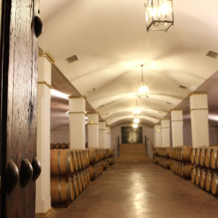 Visita a Viñedos y Bodega Valdealto con Cata de Vinos para dos (Mérida, Badajoz)