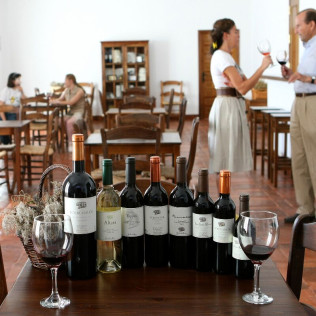 Visita a Viñedos y Bodega Valdealto con Cata de Vinos para dos (Mérida, Badajoz)