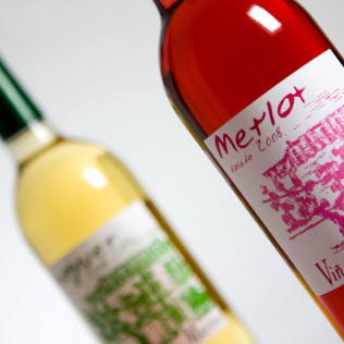 Visita a Viñedos y Bodega Valdealto con Cata de Vinos para dos (Mérida, Badajoz)