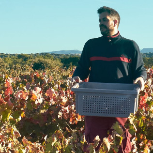Visita a Bodega con Degustación y Aperitivo y Spa en Hotel Spa Tudanca Aranda 4* para dos (Aranda de Duero, Burgos)