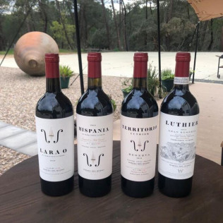 Visita a Bodega con Degustación y Aperitivo y Spa en Hotel Spa Tudanca Aranda 4* para dos (Aranda de Duero, Burgos)